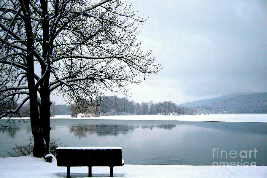Winter Photograph - Winter Solitude by Linda Galok
