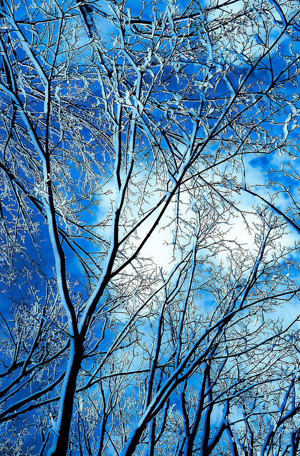 Abstract Photograph - Winter Solstice by Michael Nowotny