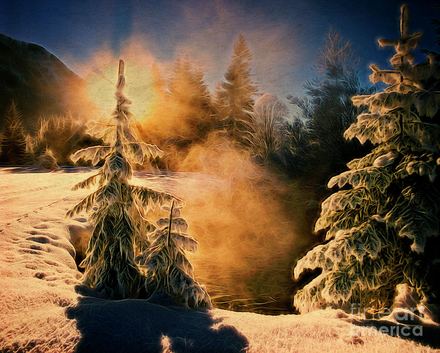 Winter Song Photograph by Edmund Nagele FRPS