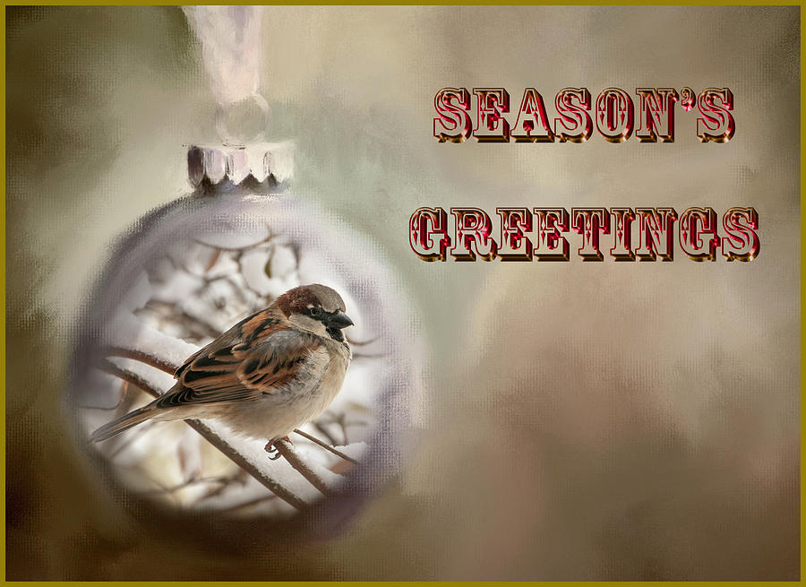 Sparrow Photograph - Winter Sparrow Christmas Card by Phyllis Taylor
