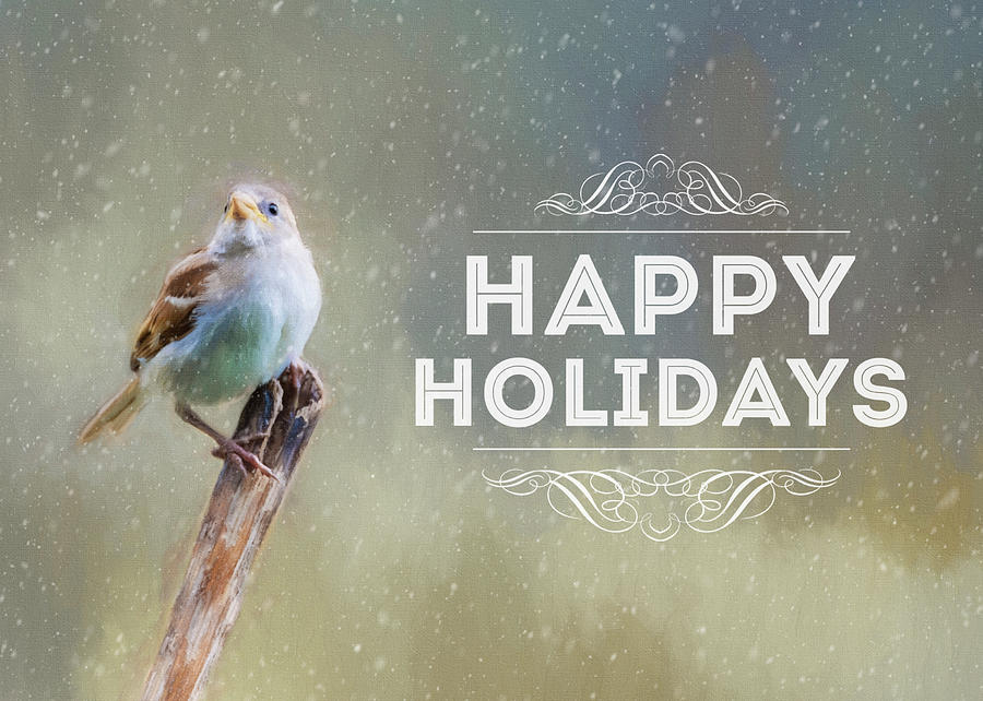 Winter Sparrow Holiday Card Photograph by Cathy Kovarik