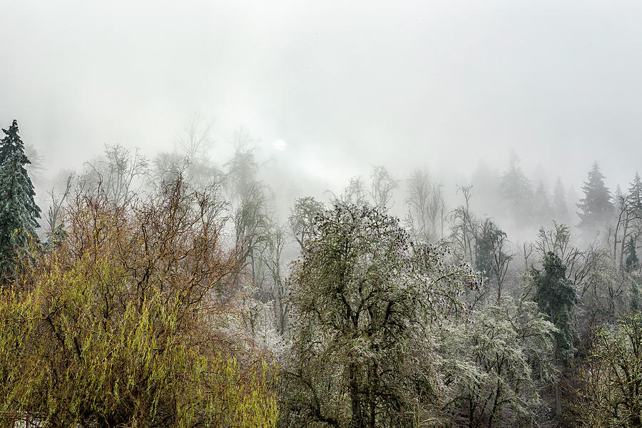 Winter Spell Photograph by Belinda Greb