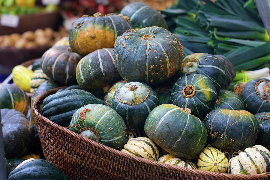 Winter Squash Photograph by Bruce Block