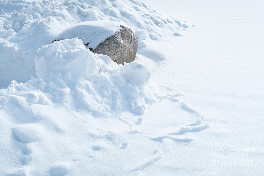 Winter Photograph - Winter Still Life by Ann Horn