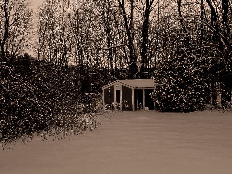 Winter Stillness Photograph by Elizabeth Tillar