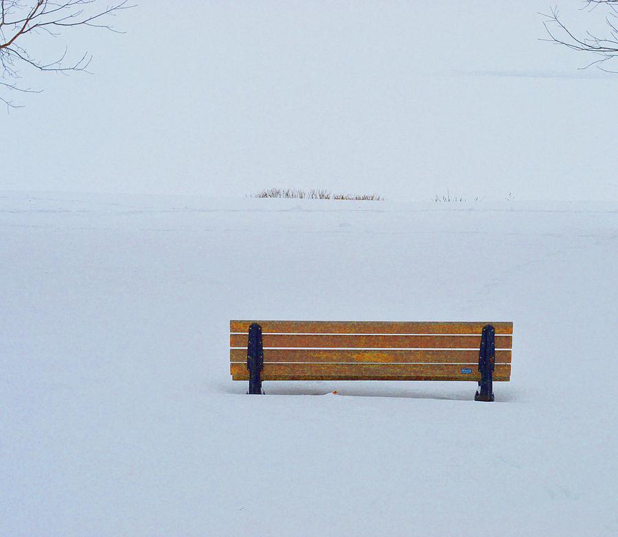 Winter Stillness  Digital Art by Lyle Crump