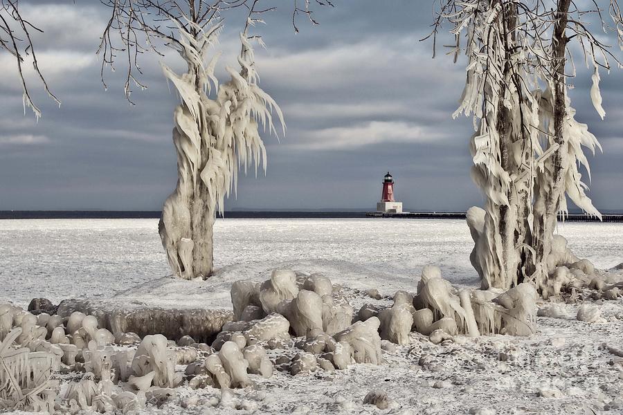 Winter Storm Ashley 2015 by Ms Judi Winter Storm Ashley 2015 by Ms Judi