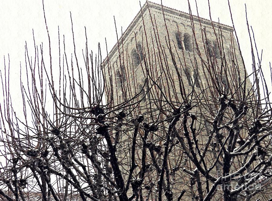 Tree Photograph - Winter Storm at the Cloisters 1 by Sarah Loft