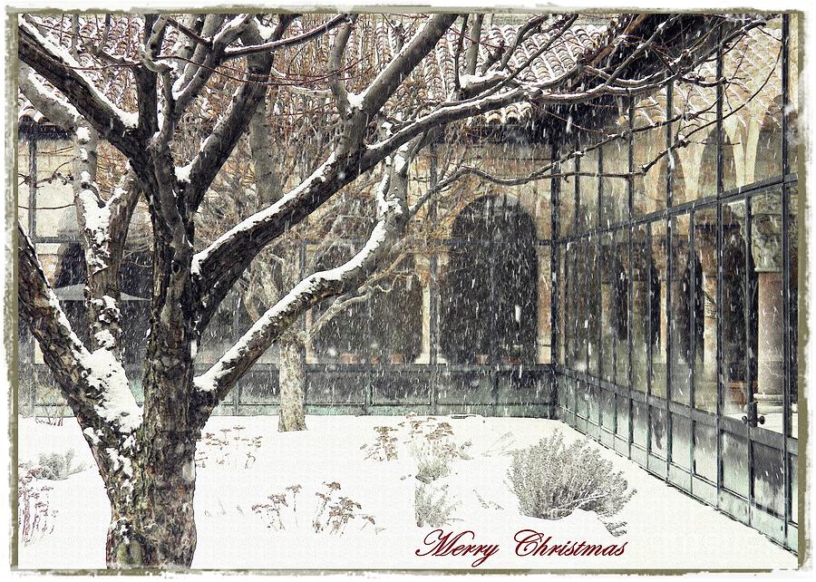 Tree Photograph - Winter Storm at the Cloisters 3 Card 2 by Sarah Loft