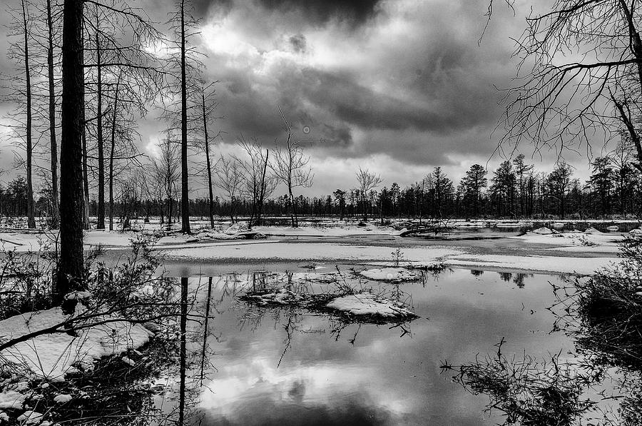 Winter Storm Landscape Photograph by Louis Dallara