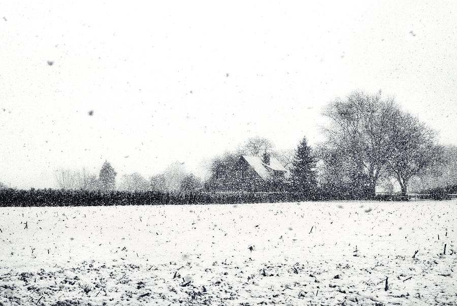 Winter Story Photograph by Jaroslav Buna