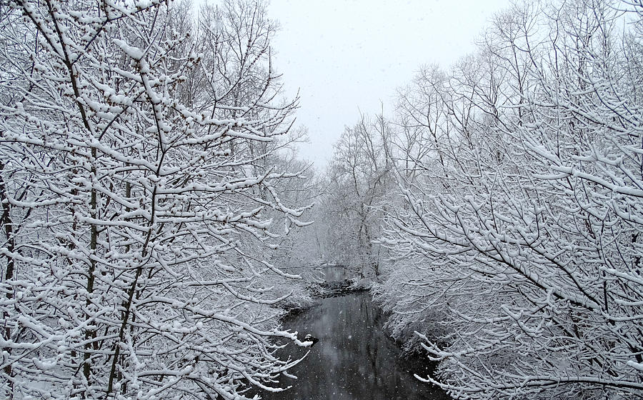 Winter Photograph - Winter Stream 2 by Dark Whimsy