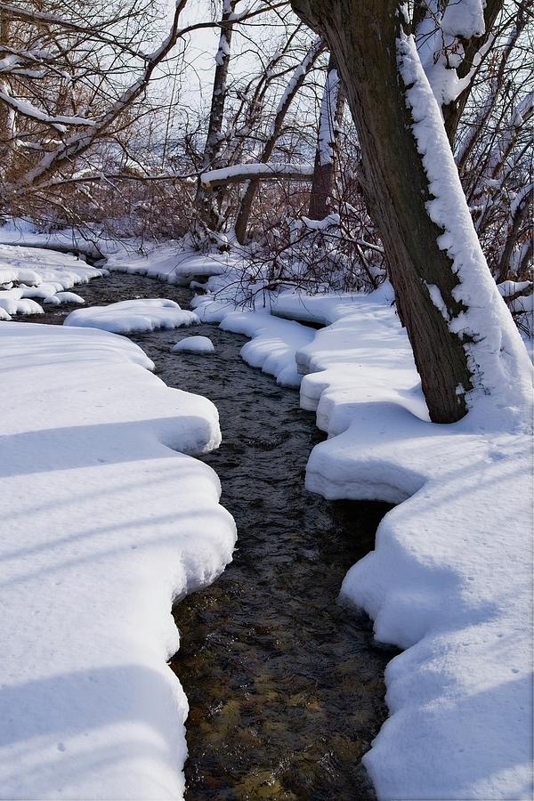 Winter Stream and Shadows Photograph by Allan Van Gasbeck