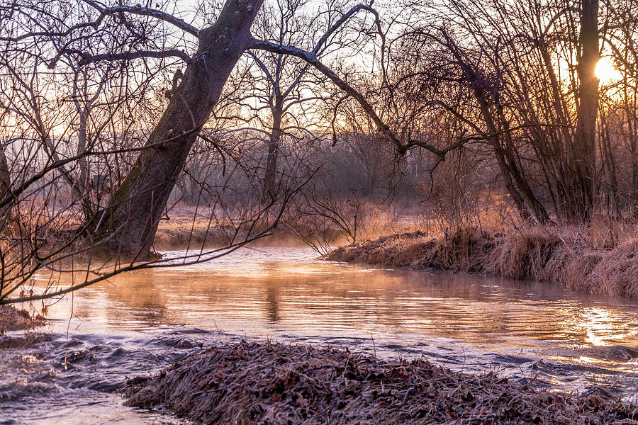 Winter Stream Photograph by Andy Smetzer