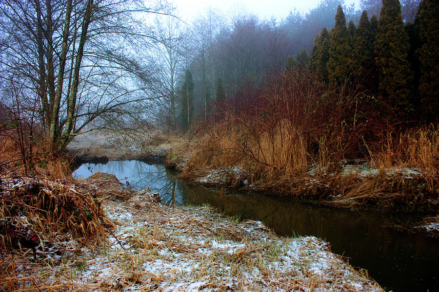 Winter Stream Photograph by Barbara  White