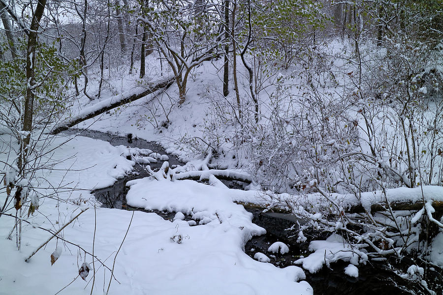 Winter Stream Bed Photograph by Scott Kingery