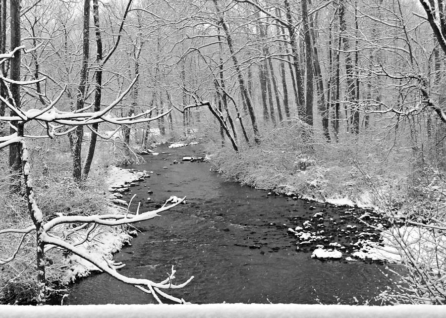 Winter Photograph - Winter Stream Card by Dark Whimsy