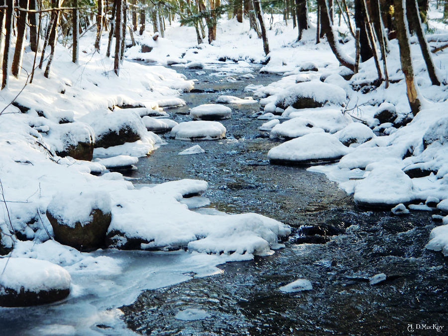 Winter Stream Photograph by Celtic Artist Angela Dawn MacKay