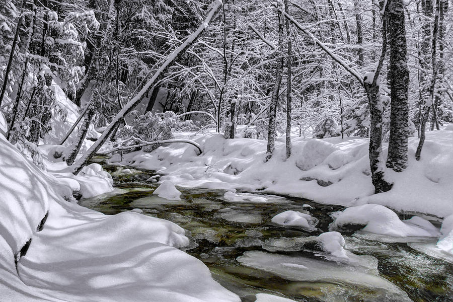 Winter Stream Photograph by White Mountain Images