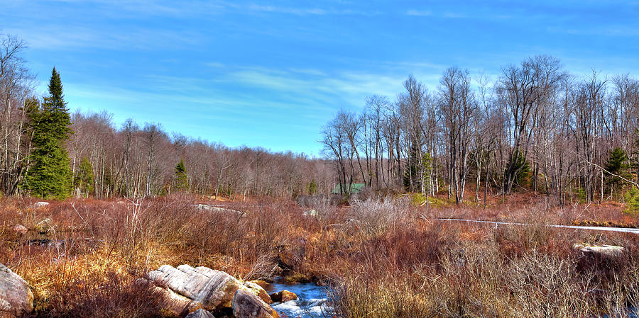Winter Stream Photograph by David Patterson