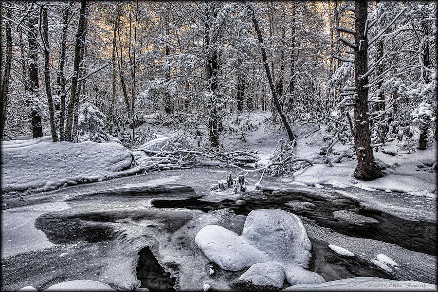 Winter Stream Photograph by Erika Fawcett