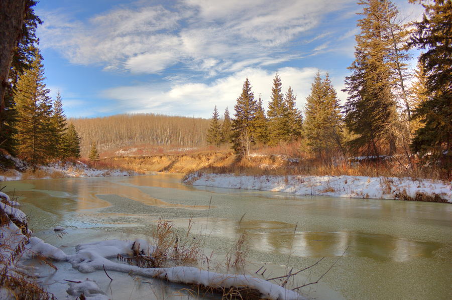 Winter Stream Photograph by Jim Sauchyn
