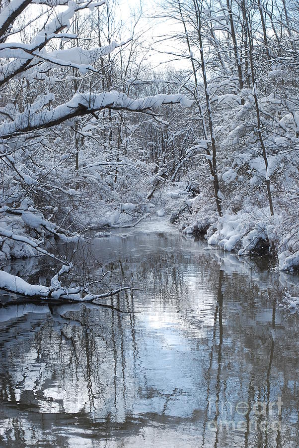Winter Stream Photograph by Lila Fisher-Wenzel