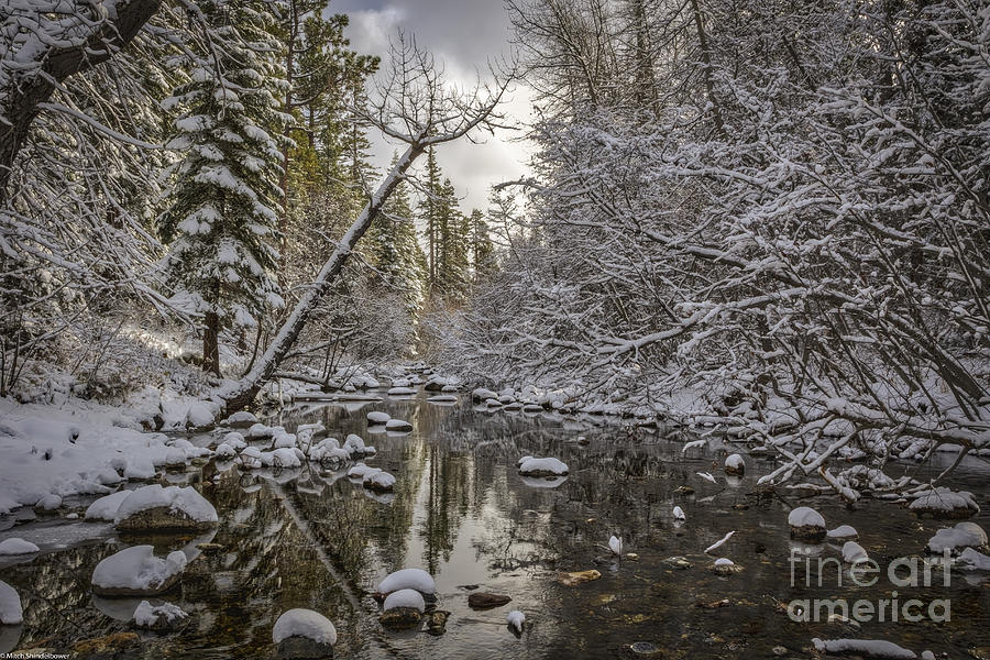 Winter Stream Photograph by Mitch Shindelbower