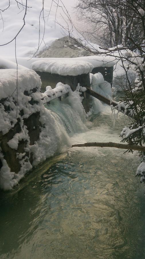 Winter Stream Photograph by Moshe Harboun