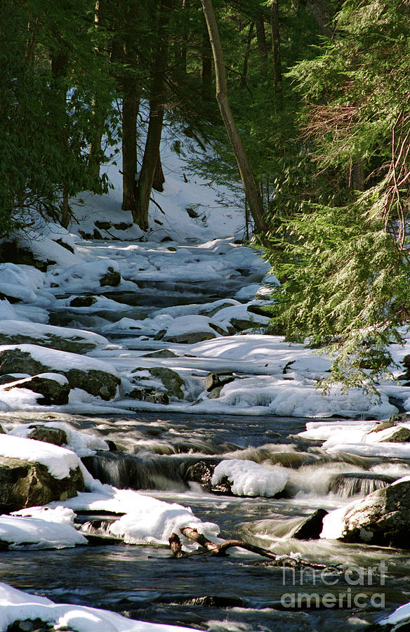 Winter Stream Photograph by Nicki McManus