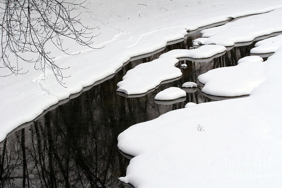 Winter Stream  Photograph by Paula Guttilla