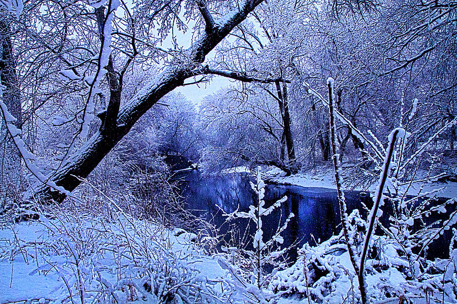 Landscape Photograph - Winter Stream by Phil Koch