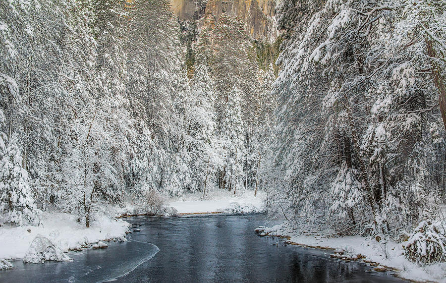 Winter Stream Photograph by Susan Eileen Evans