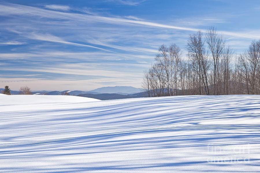 Winter Stripes Photograph by Alan L Graham