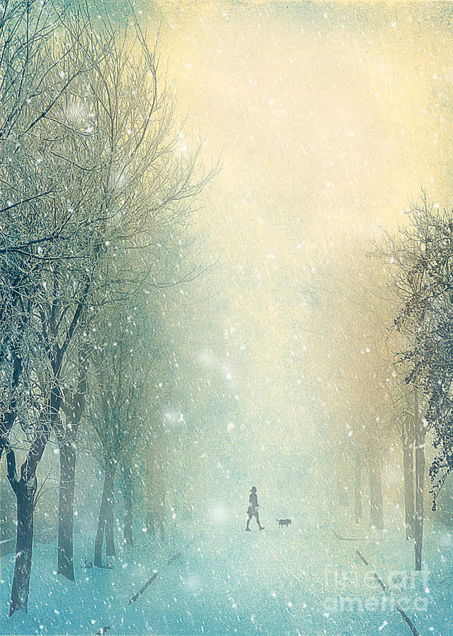 Winter Stroll Photograph by Svetlana Sewell