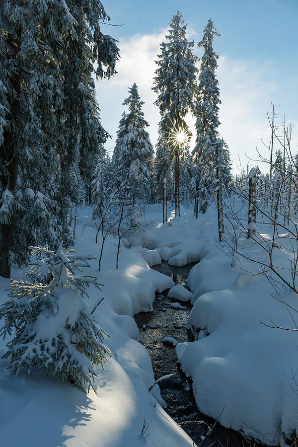 winter sun in Upper Harz Photograph by Andreas Levi