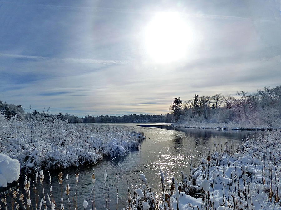 Winter Sun Photograph by Lyuba Filatova