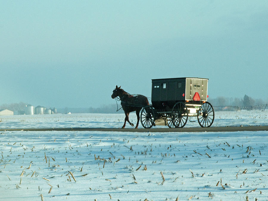 Winter Sun on Amish Buggy Photograph by David Arment
