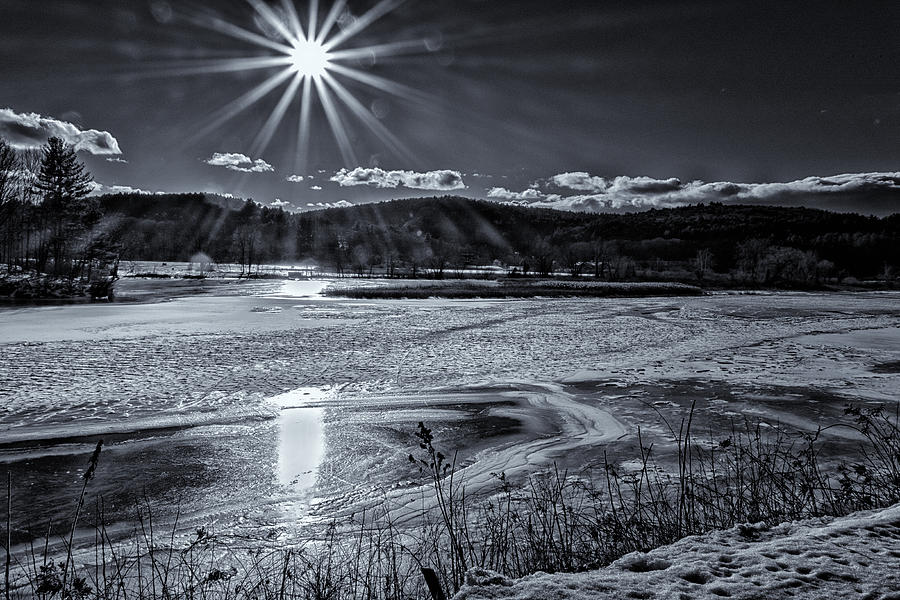 Winter Sun On The Meadows Photograph by Tom Singleton