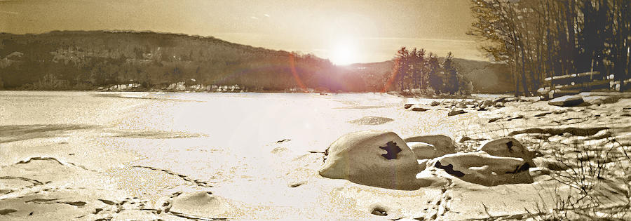 Winter Sun Photograph by Steve Karol