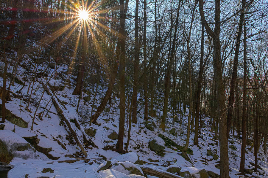 Winter Sunburst Photograph by Angelo Marcialis