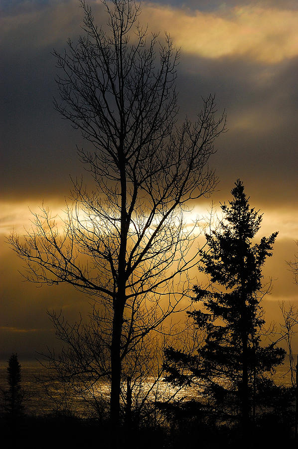 Winter Sunrise 2 Photograph by Sebastian Musial