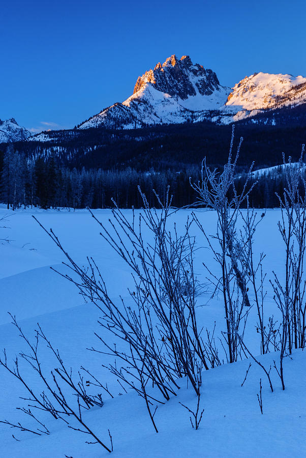 Winter Photograph - Winter sunrise along Sawtooth Mountain Range Stanley Idaho USA by Vishwanath Bhat