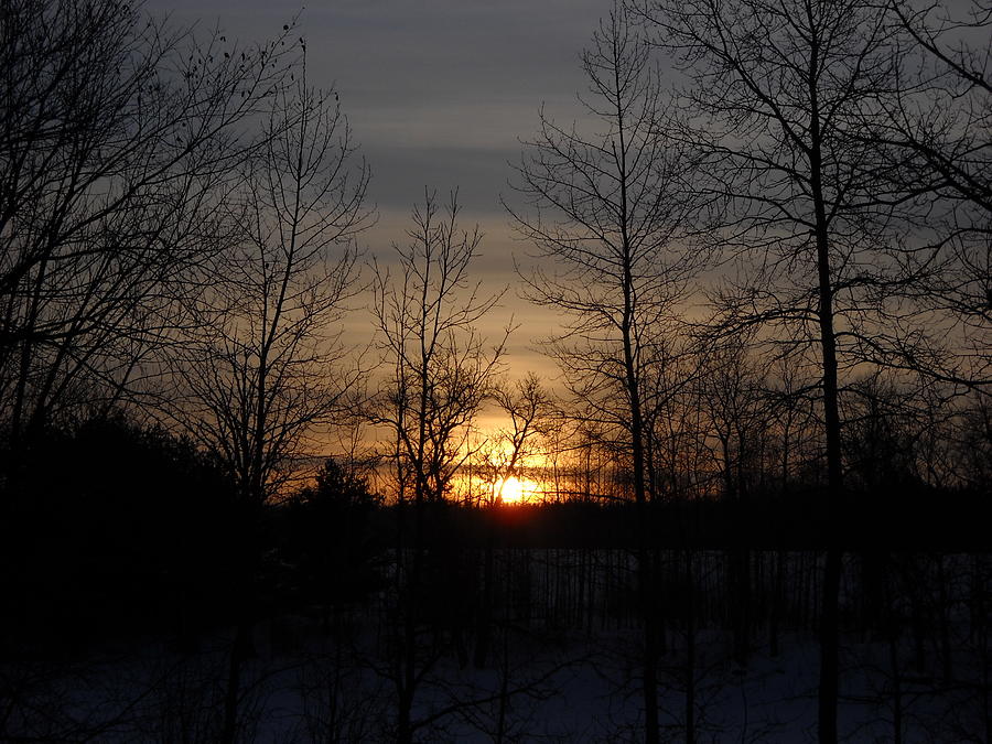 Winter Sunrise Behind Trees Photograph by Kent Lorentzen