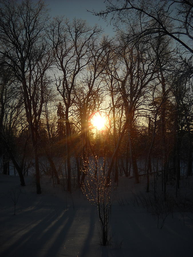 Winter Sunrise Between Trees Photograph by Kent Lorentzen