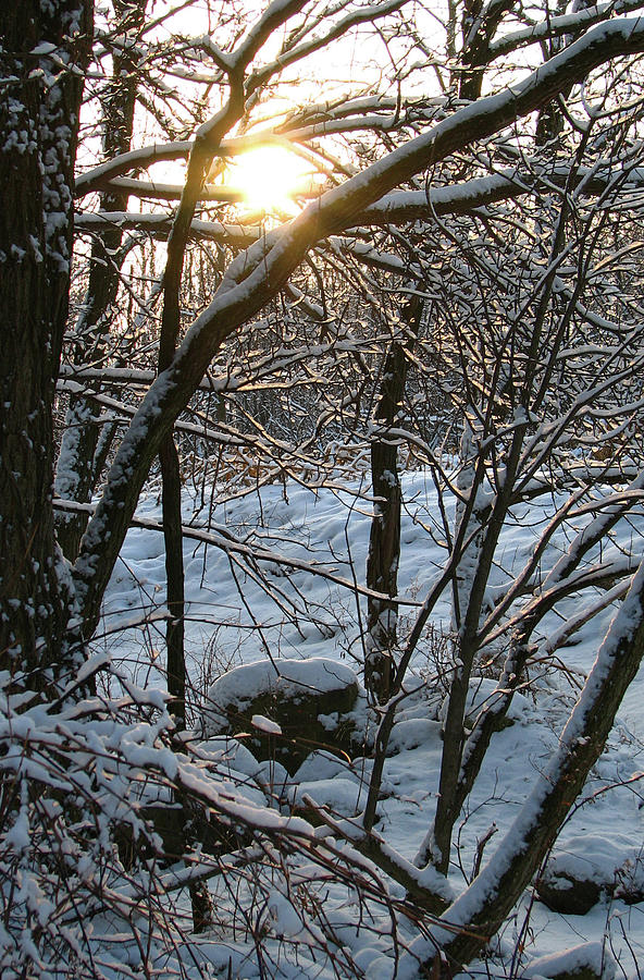Winter Sunrise  Photograph by Deborah Johnson