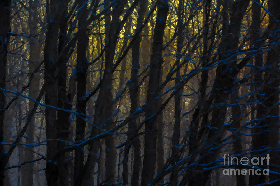 Winter Sunrise Photograph by Diane Diederich