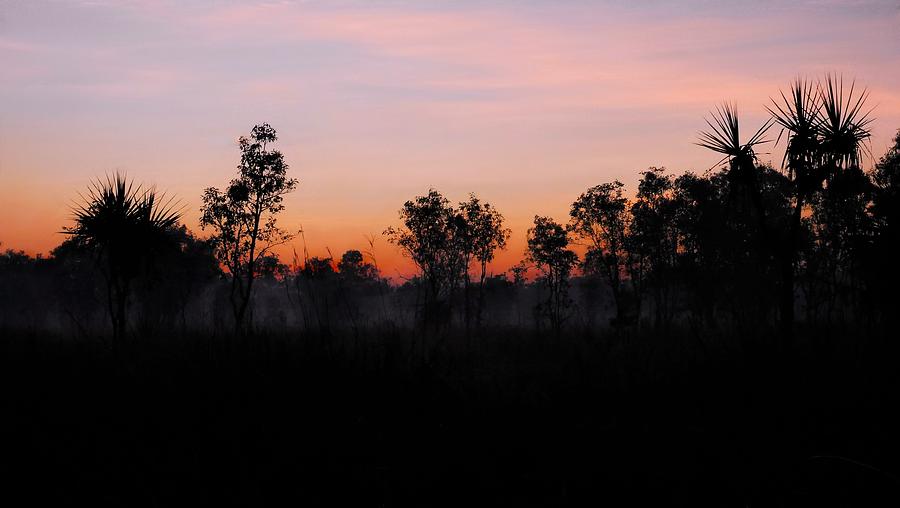 Winter Sunrise - Kakadu National Park Photograph by Lexa Harpell