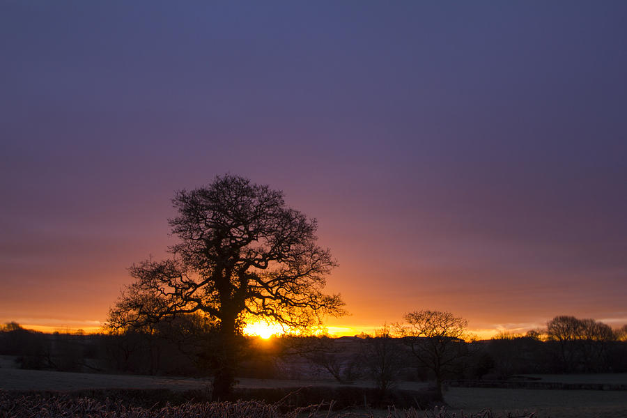 Sunset Photograph - Winter sunrise by Phil Tomlinson