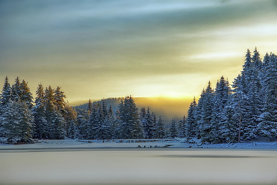 Winter sunrise Photograph by Plamen Petkov